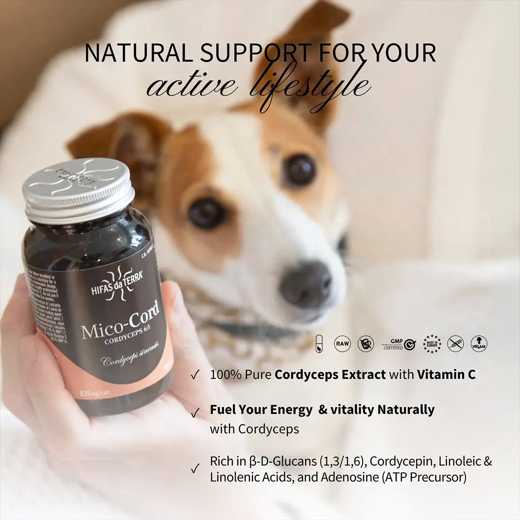 Mico-Cord Extracto Puro del Hongo Cordyceps en cápsulas