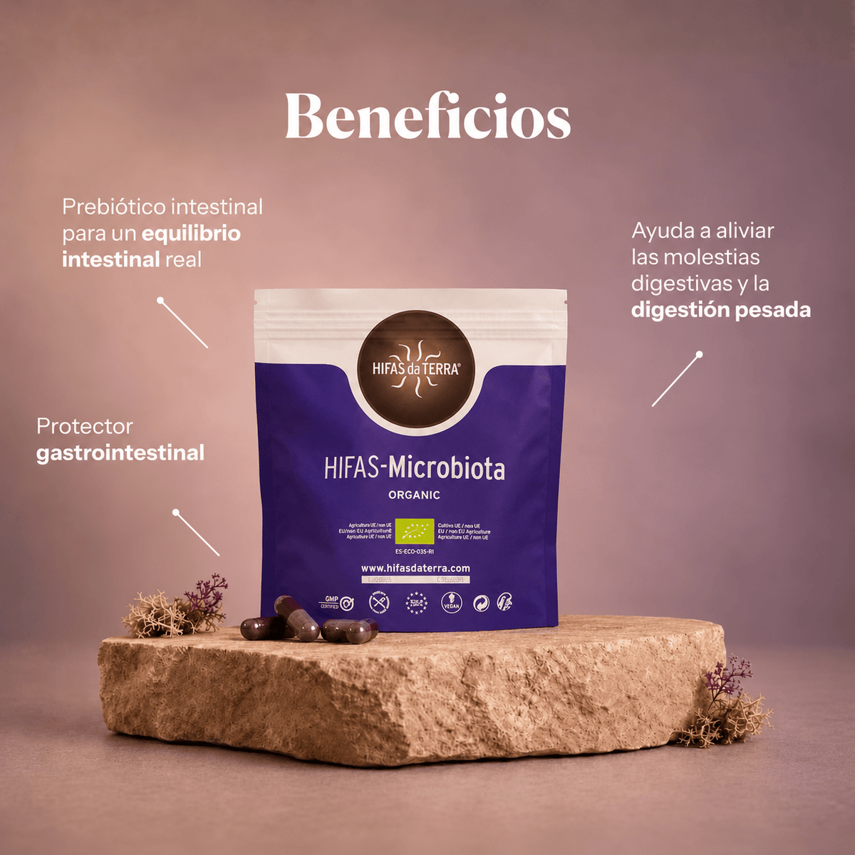 BALANCE DUO: Equilibrium + Microbiota