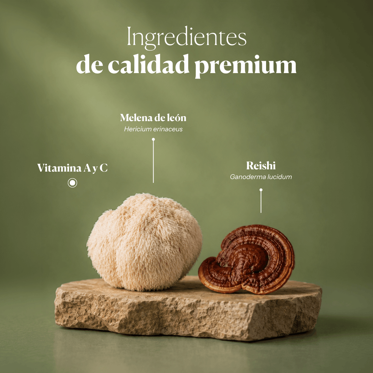 Jarabe Dr. GB (Gut & Brain) con Reishi, Melena de león, Prebióticos y Vitaminas C y A