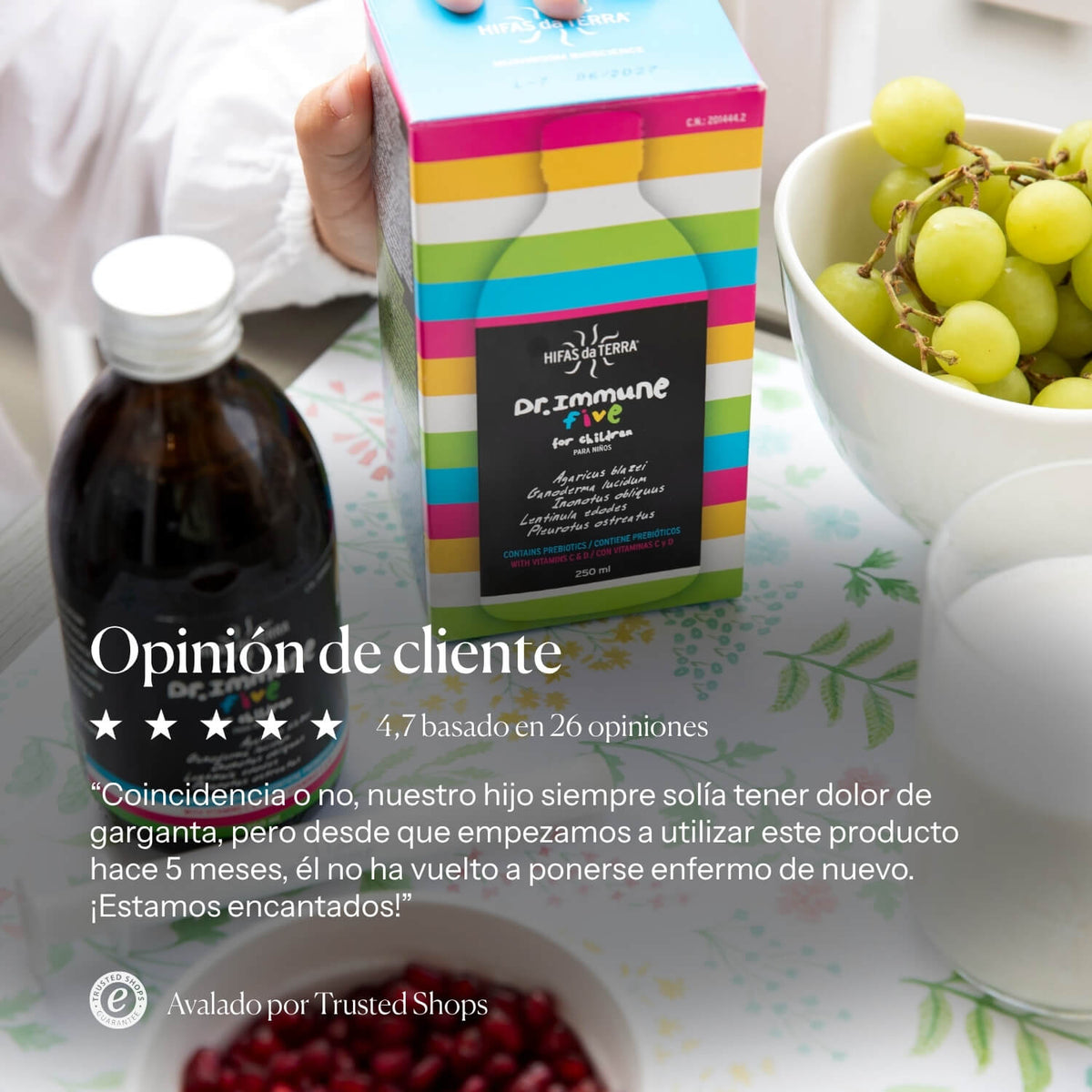 Nutritional information for Dr. Immune Five | Hifas da Terra