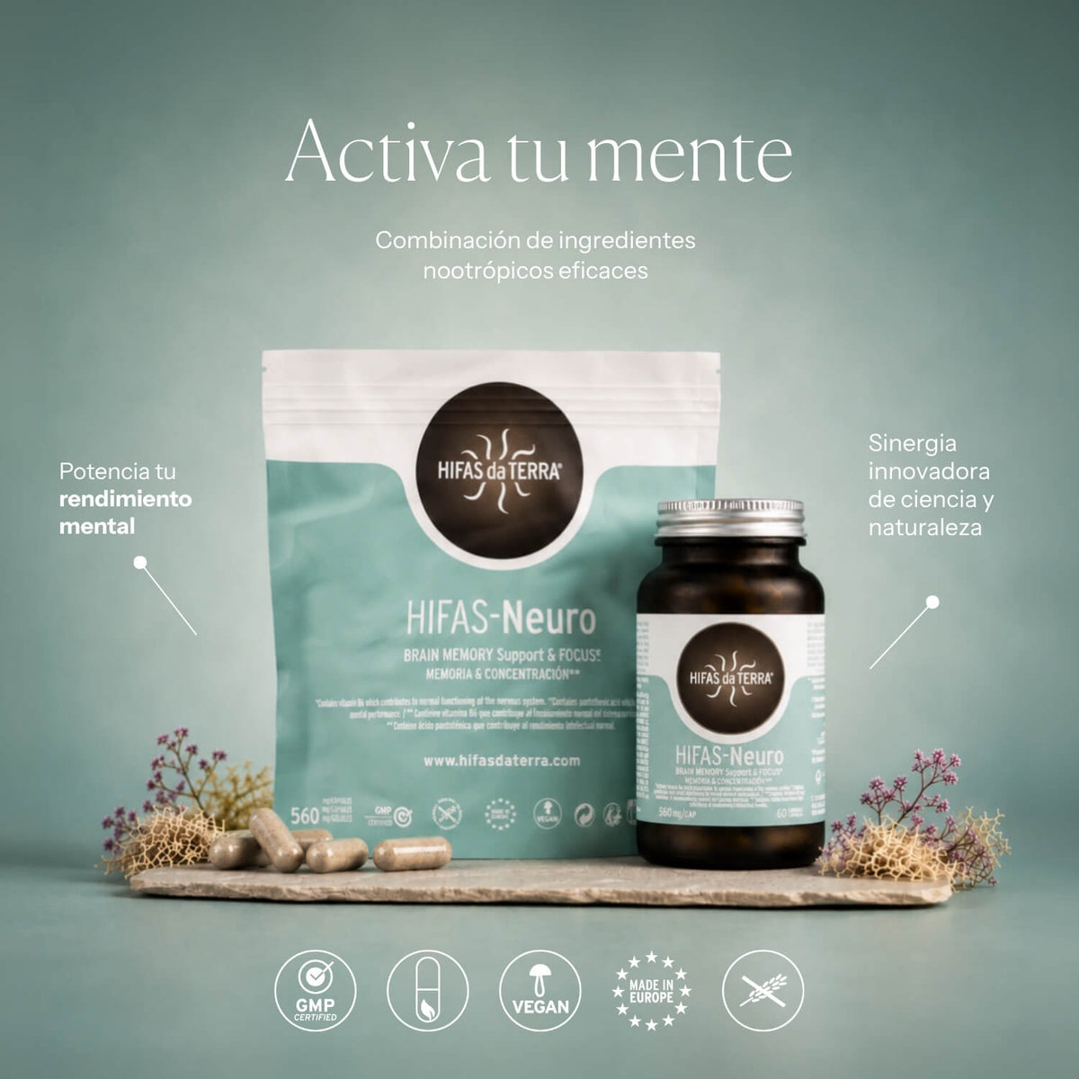 How to use Hifas-Neuro | Hifas da Terra