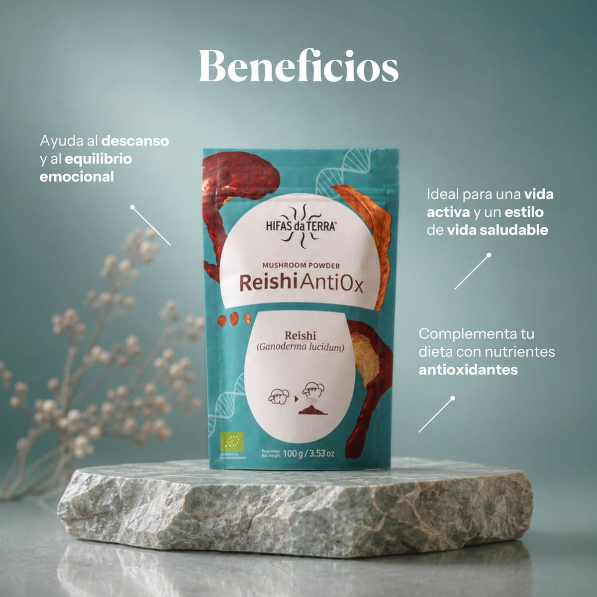 Reishi Antiox 100% Polvo ECO de Reishi