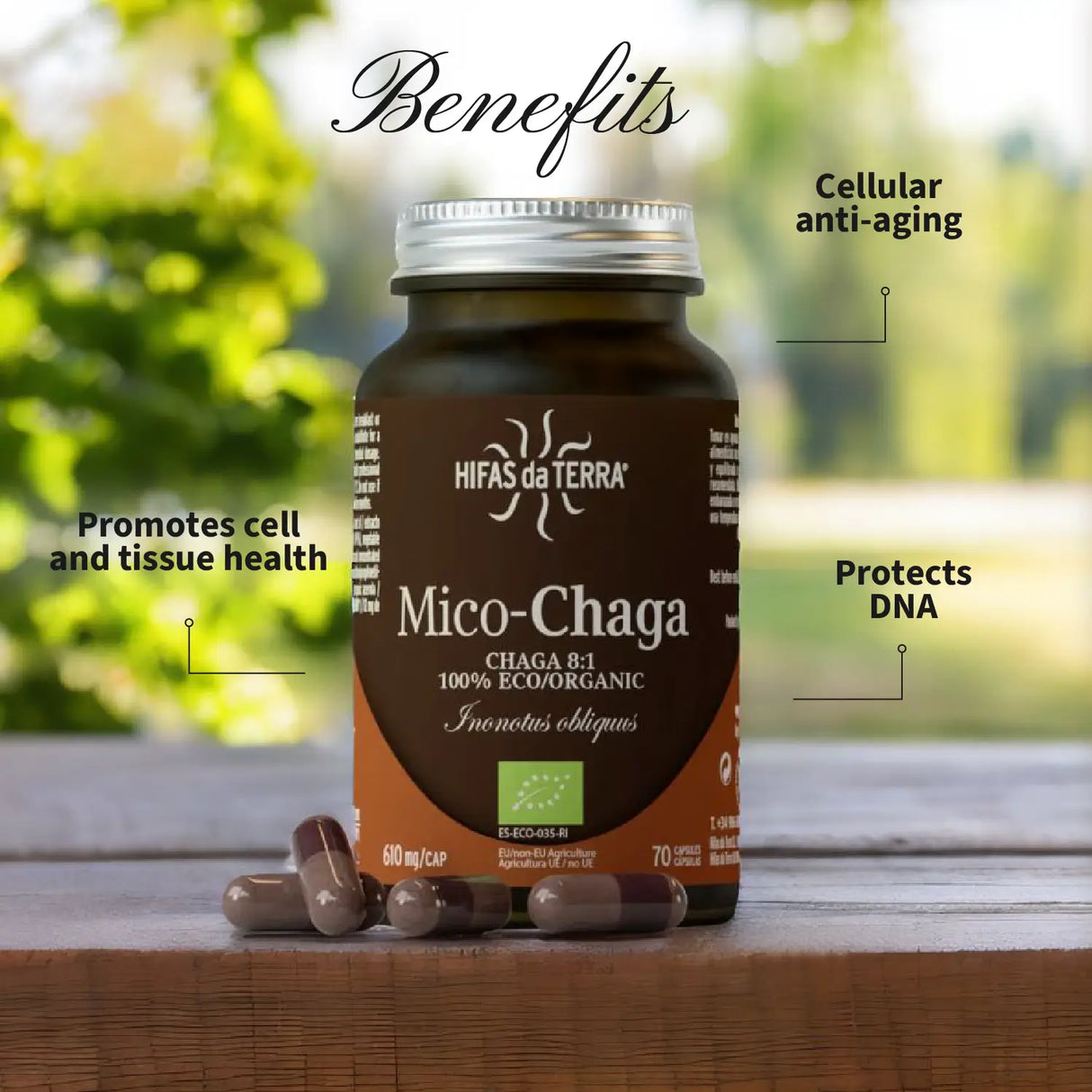 Mico-Chaga Extracto Puro ECO de Chaga