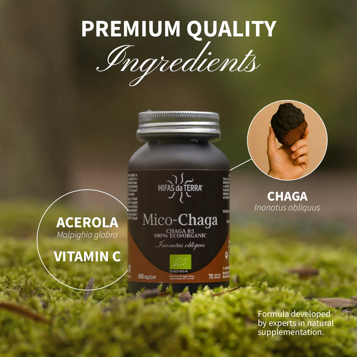 Mico-Chaga Extracto Puro ECO de Chaga