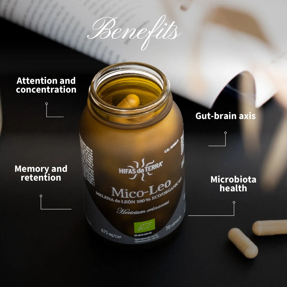 Mico Leo (Lion’s Mane Extract) Capsules