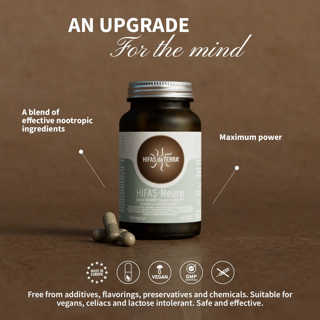 Hifas-Neuro Memoria y Concentración