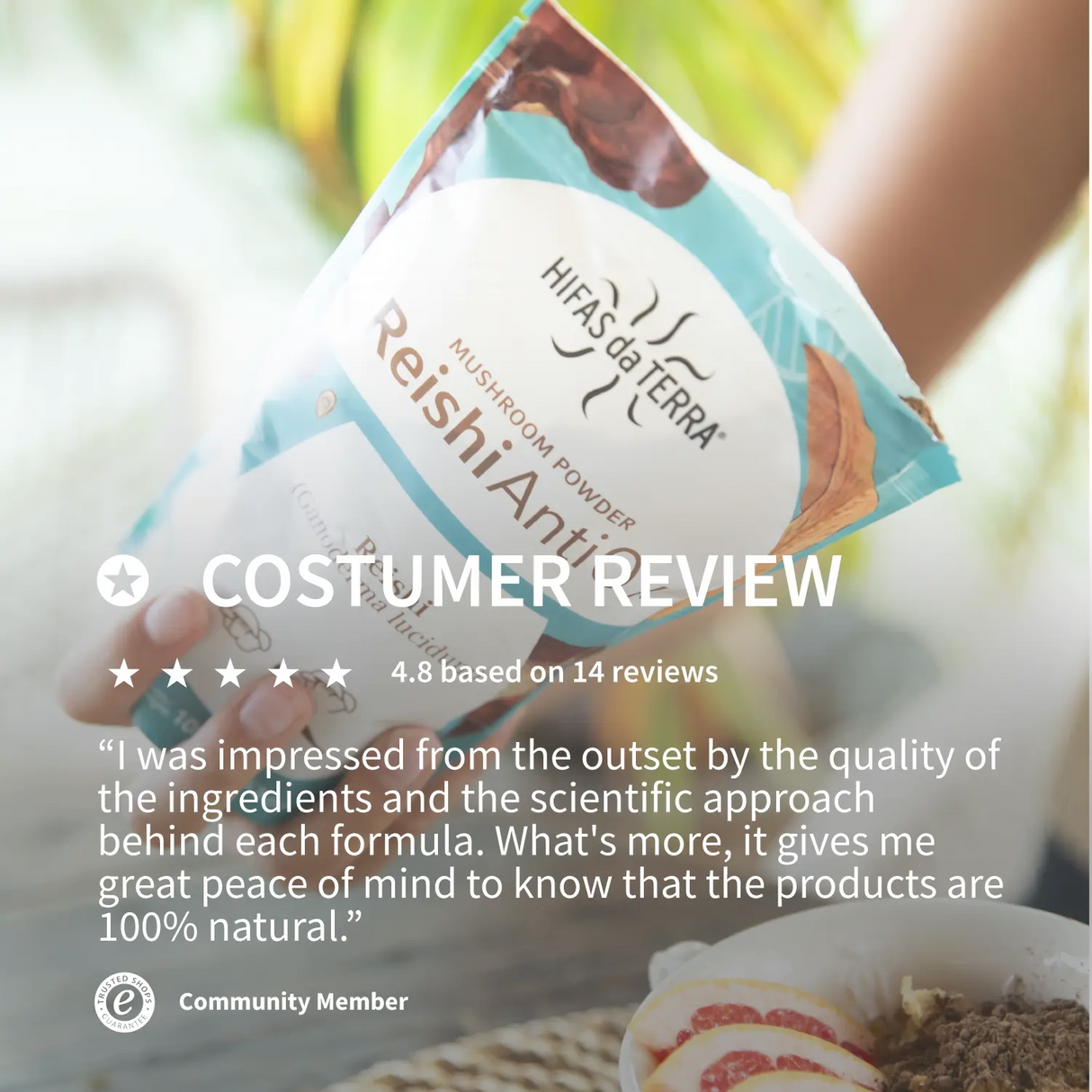 Reishi Antiox 100% Polvo ECO de Reishi