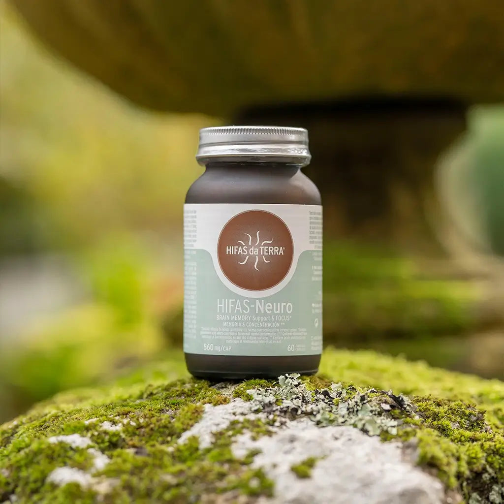 Hifas-Neuro Memoria y Concentración