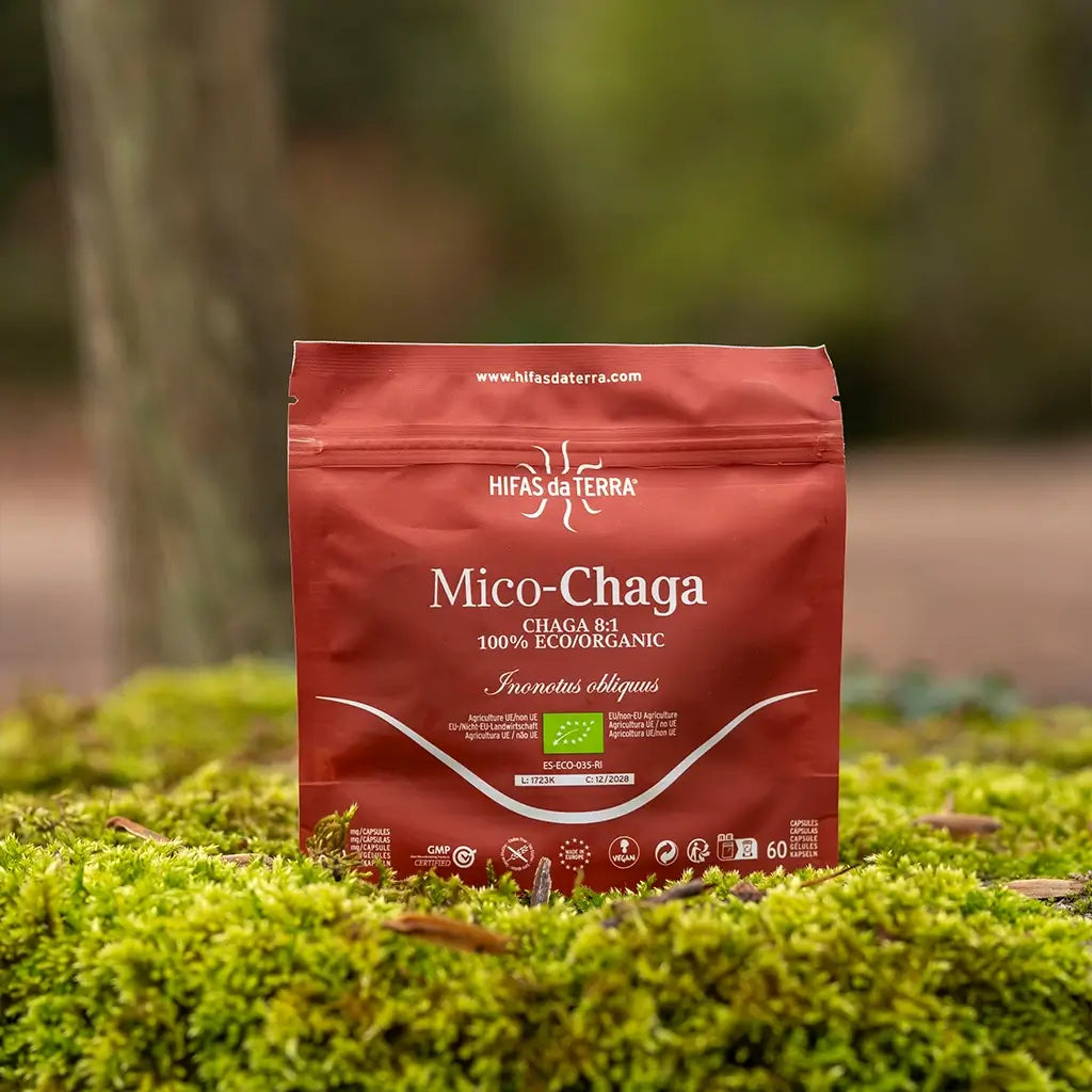 Mico-Chaga Extracto Puro ECO de Chaga