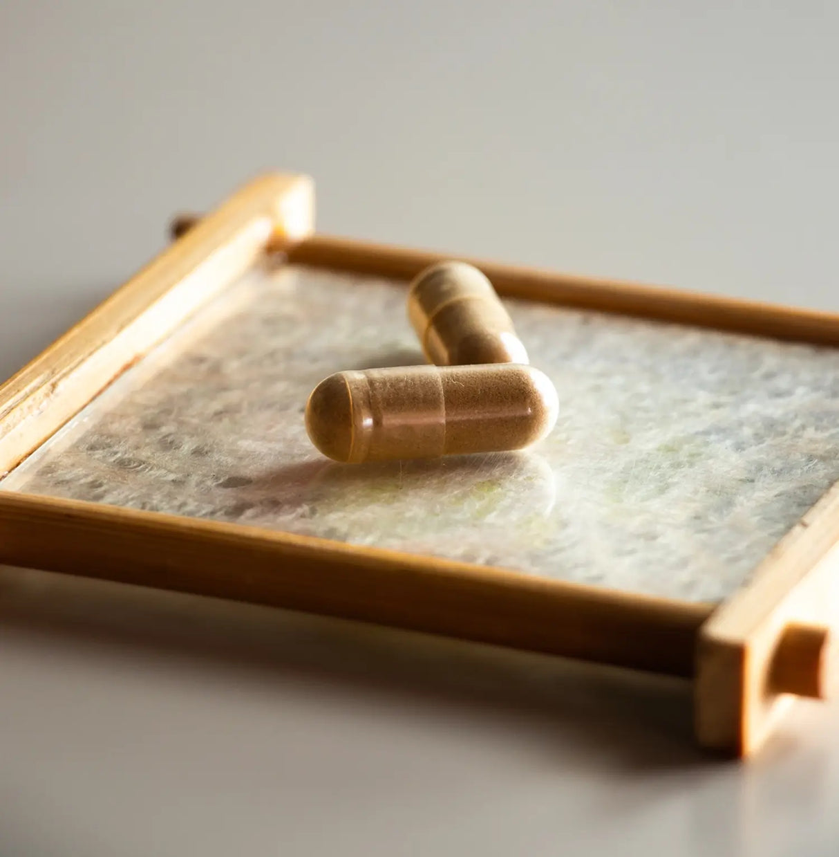 Mico-Chaga Extracto Puro ECO de Chaga