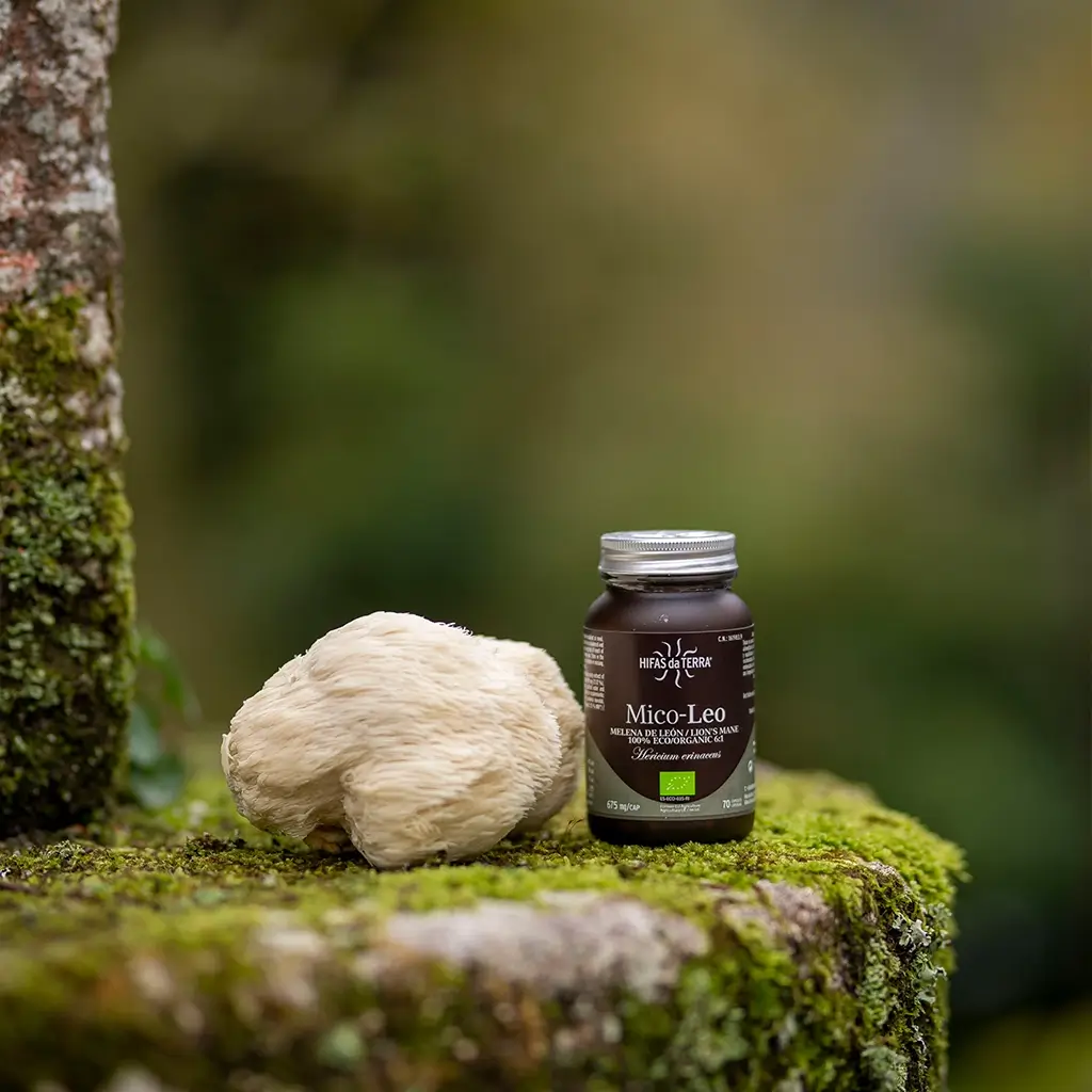 Mico Leo (Lion’s Mane Extract) Capsules