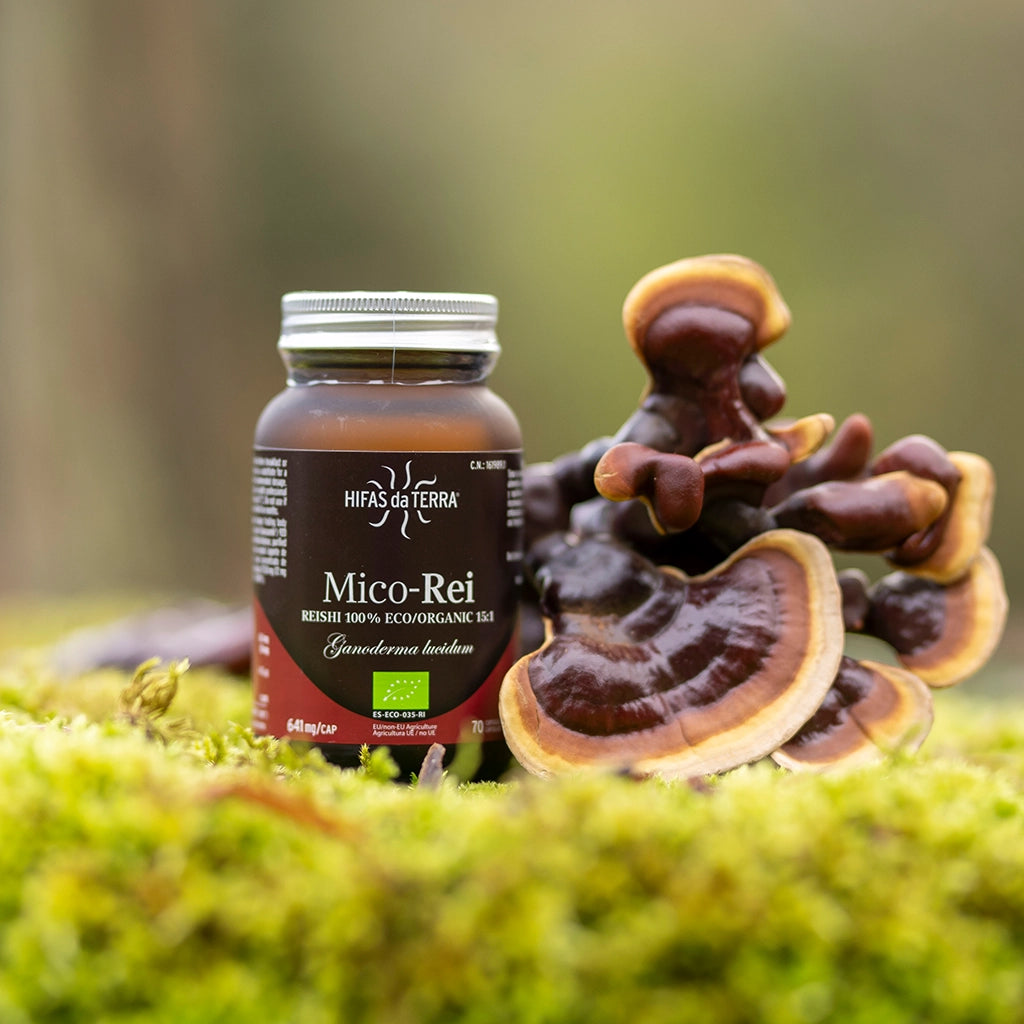 Mico-Rei Extracto Puro ECO de Reishi