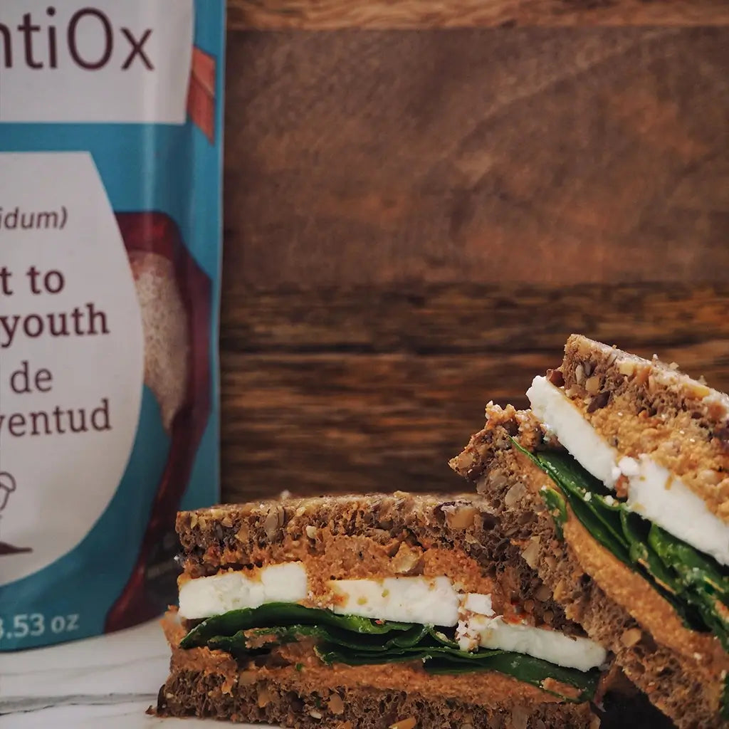 Reishi Antiox 100% Polvo ECO de Reishi