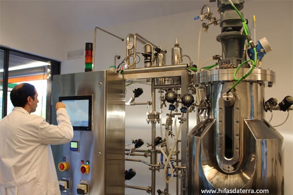 El cultivo ecológico de hongos en biorreactores amplía las aplicaciones médicas de los extractos