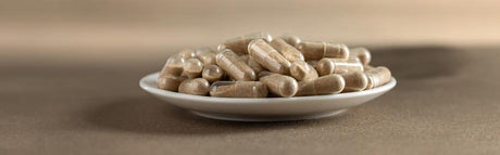 Mykotherapie verstehen: Wichtige Begriffe zu Extrakten, Biomasse & Co.