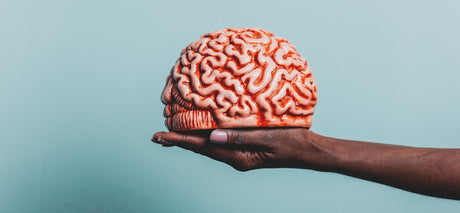 Gehirngesundheit: Was die Wissenschaft bereits bewiesen hat und was Sie wissen sollten