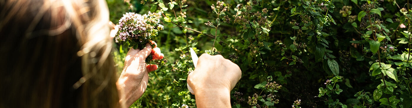 header Holistische Ernährung