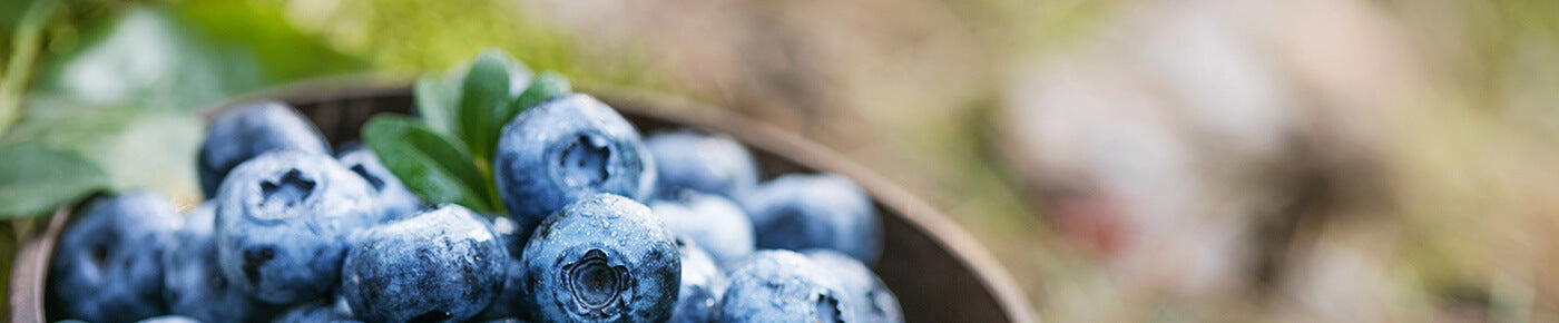 Descubre los mejores alimentos antioxidantes