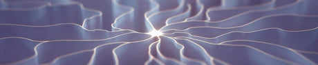 Bild Neuronen