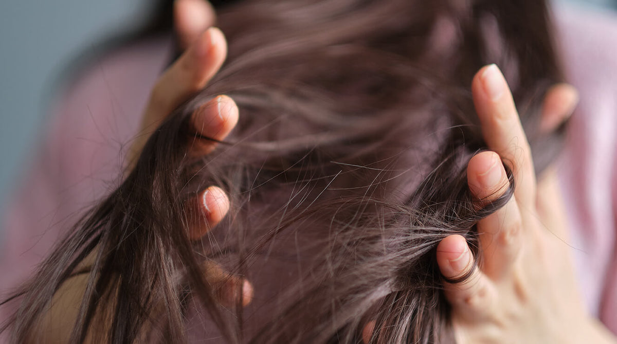 Caída del cabello durante la menopausia: causas y qué puede ayudar