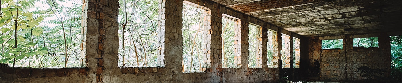 The last of us header