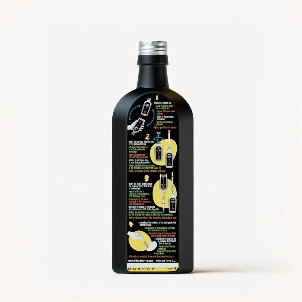 Jarabe Dr. GB (Gut & Brain) con Reishi, Melena de león, Prebióticos y Vitaminas C y A