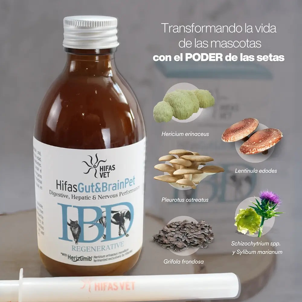 Hifas Gut & Brain Pet