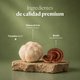 Jarabe Dr. GB (Gut & Brain) con Reishi, Melena de león, Prebióticos y Vitaminas C y A