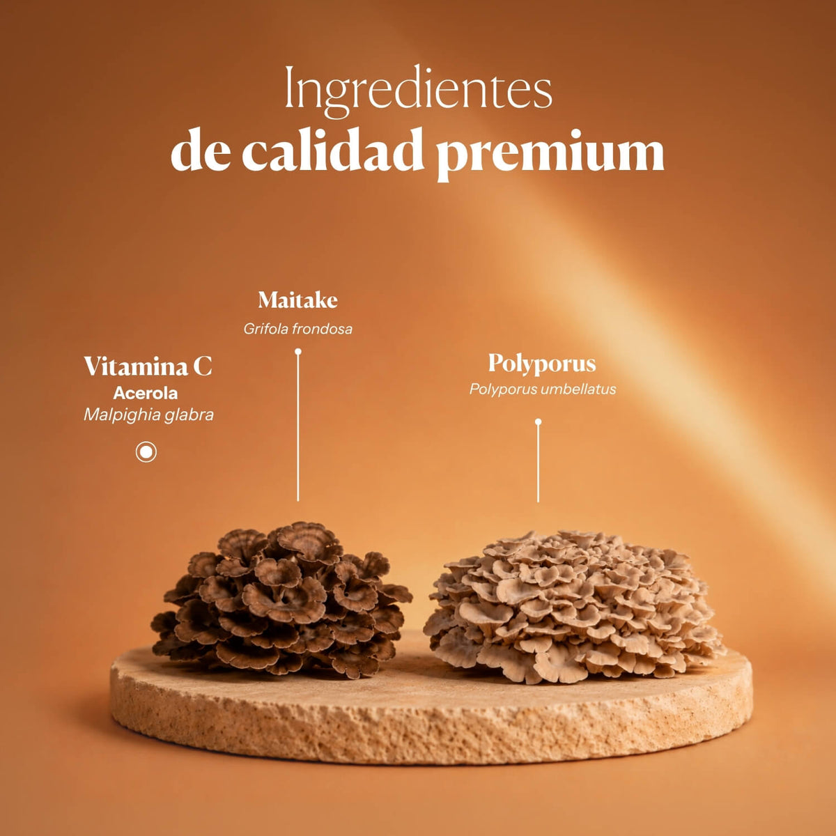HIFAS-Detox (Maitake and Polyporus extract) capsules