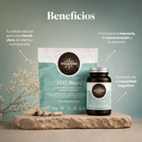Benefits of Hifas-Neuro: supplement for memory and concentration with Hericium and Chaga | Hifas da Terra