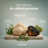 Composition and ingredients of Hifas-Neuro | Hifas da Terra