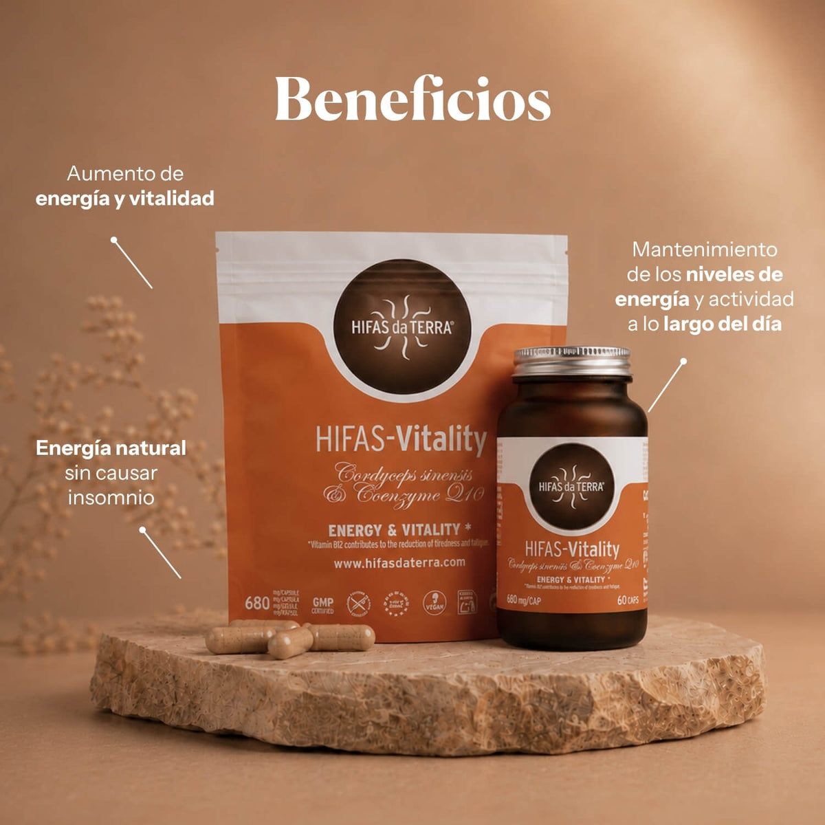 Beneficios de Hifas-Vitality: complemento para energía y cansancio | Hifas da Terra