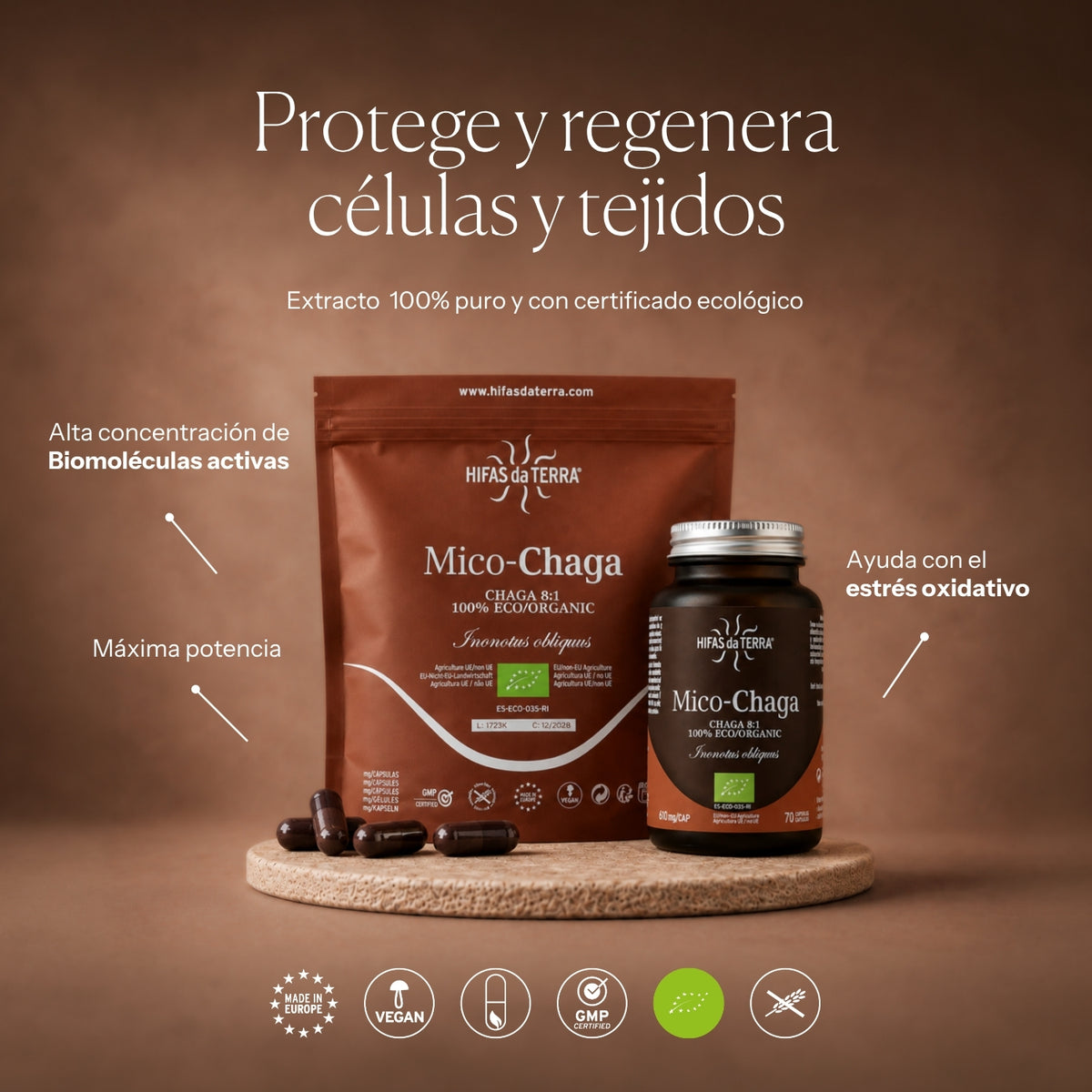 Modo de uso de Mico-Chaga | Hifas da Terra