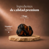 Composición e ingredientes de Mico-Chaga | Hifas da Terra