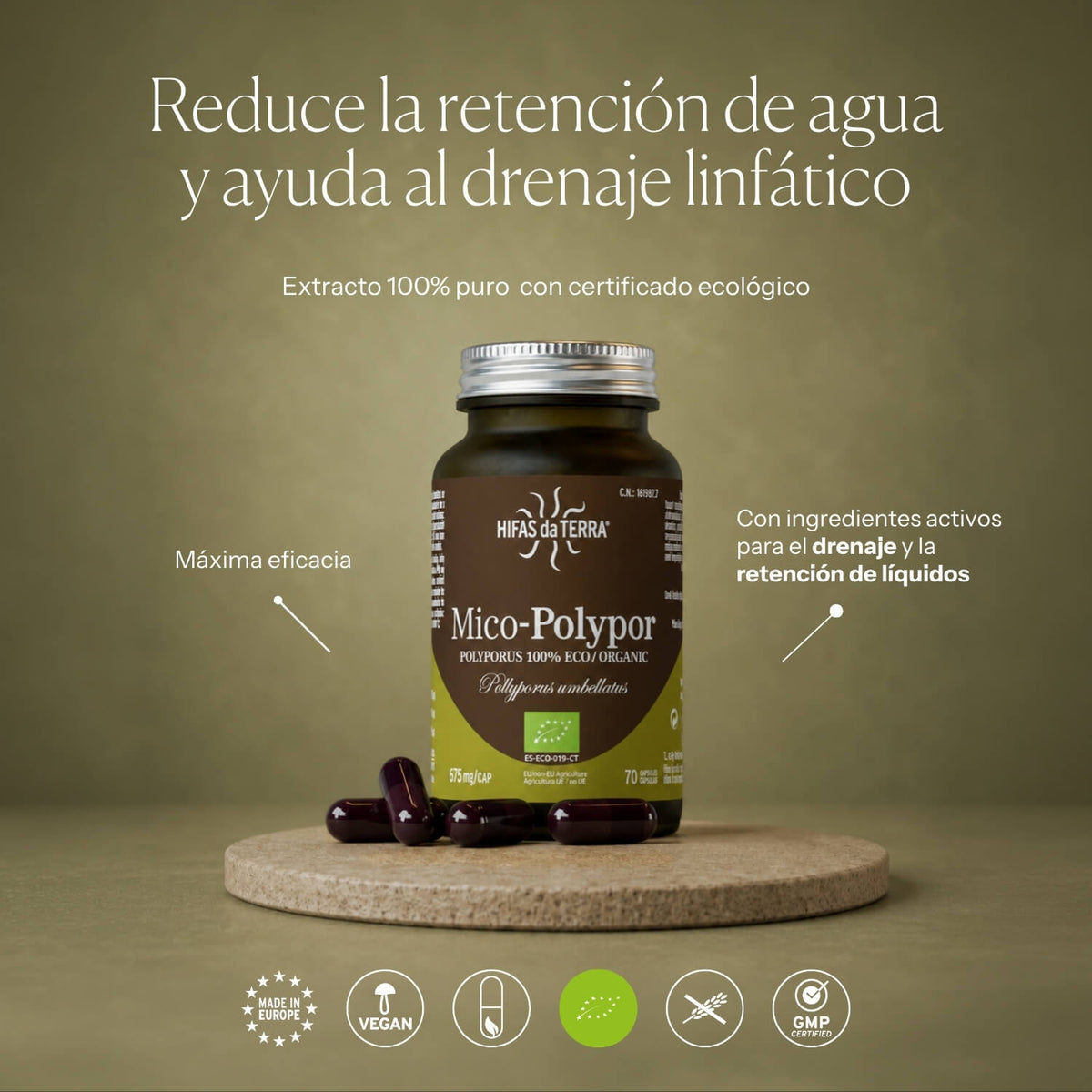 Modo de uso de Mico-Polypor | Hifas da Terra