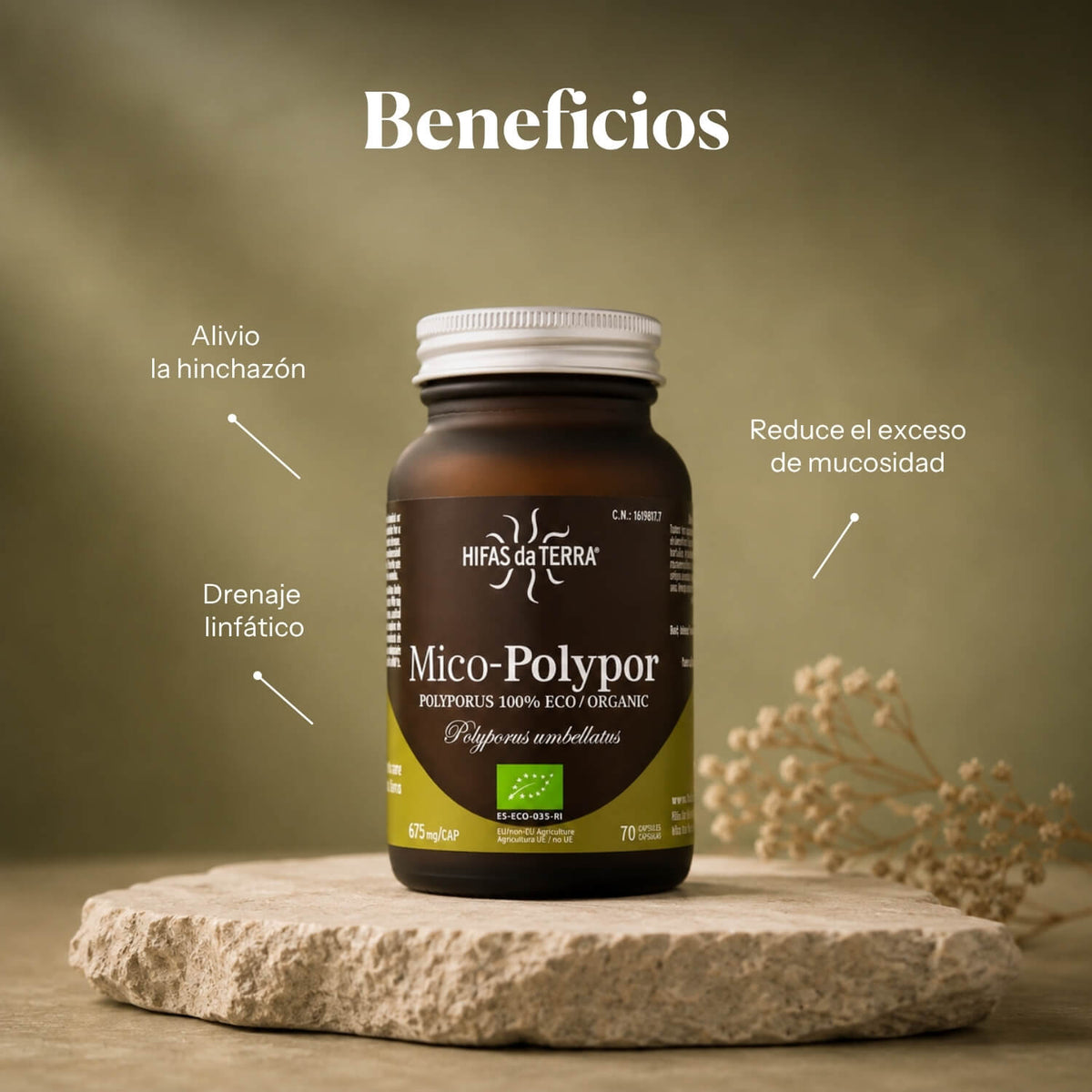 Beneficios de Mico-Polypor: extracto puro ecológico de Polyporus | Hifas da Terra