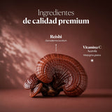 Composición e ingredientes de Mico-Rei | Hifas da Terra