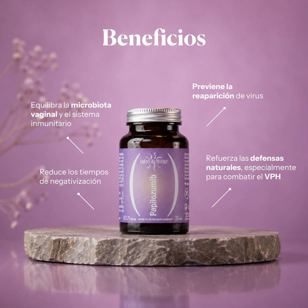 Beneficios de Papilozumib: complemento con Reishi, Cordyceps y Melena de león | Hifas da Terra