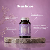 Beneficios de Papilozumib: complemento con Reishi, Cordyceps y Melena de león | Hifas da Terra