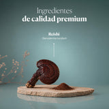 Reishi Antiox 100% Polvo ECO de Reishi