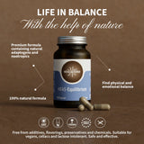 HIFAS-Equilibrium (Reishi, Lion’s Mane, Cordyceps) capsules
