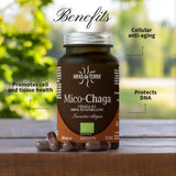 Mico-Chaga Extracto Puro ECO de Chaga