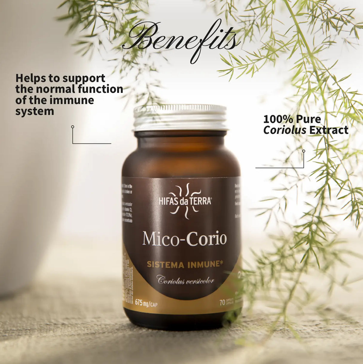 Mico-Corio