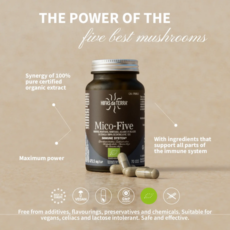 Mico Five (Chaga, Reishi, Maitake, Shiitake, Sun mushroom) Capsules
