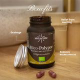 Mico Polypor (Polyporus extract) capsules