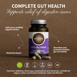 HIFAS-Microbiota (Lion’s Mane, Oyster, Reishi, Shiitake) capsules