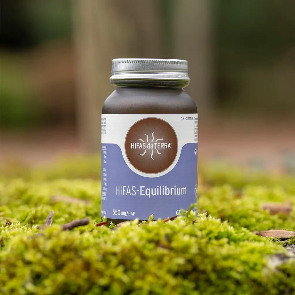 Hifas-Equilibrium