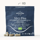 Mico-Five Extractos puros de Reishi, Shiitake, Maitake, Champiñón del sol y Chaga