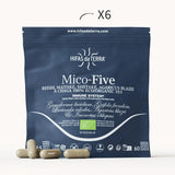 Mico Five (Chaga, Reishi, Maitake, Shiitake, Sun mushroom) Capsules