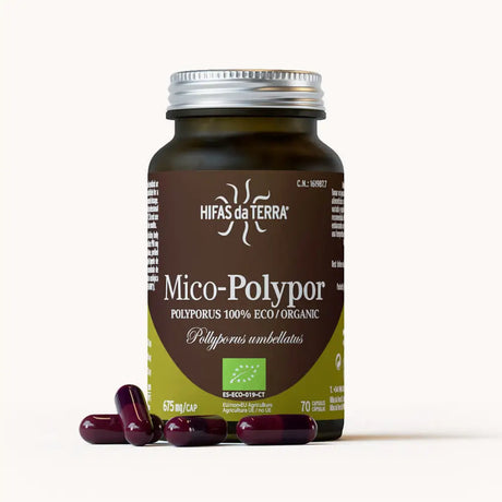 Mico-Polypor Extracto Puro ECO de Polyporus